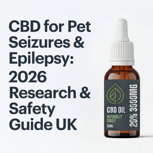 A calm dog resting, representing the support of CBD for epilepsy